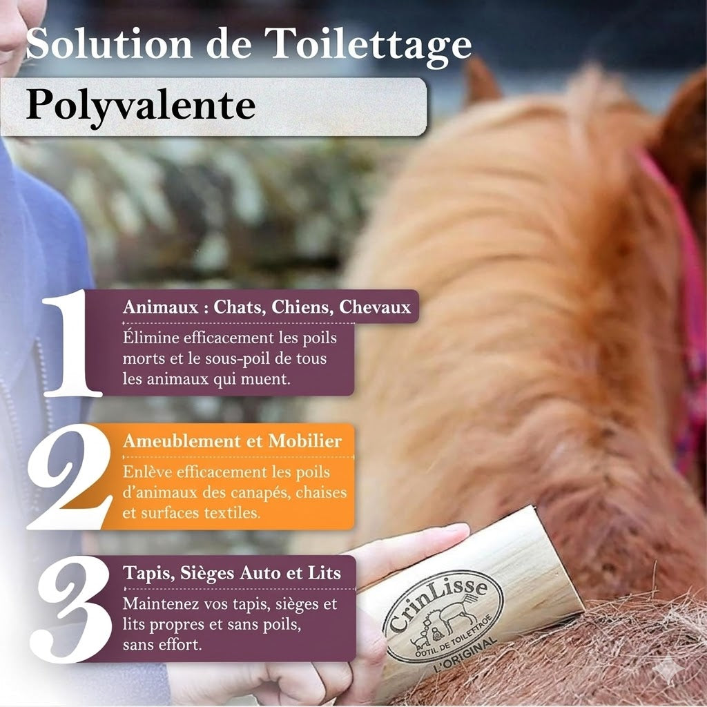 CrinLisse™ — Outil de Toilettage pour Cheval