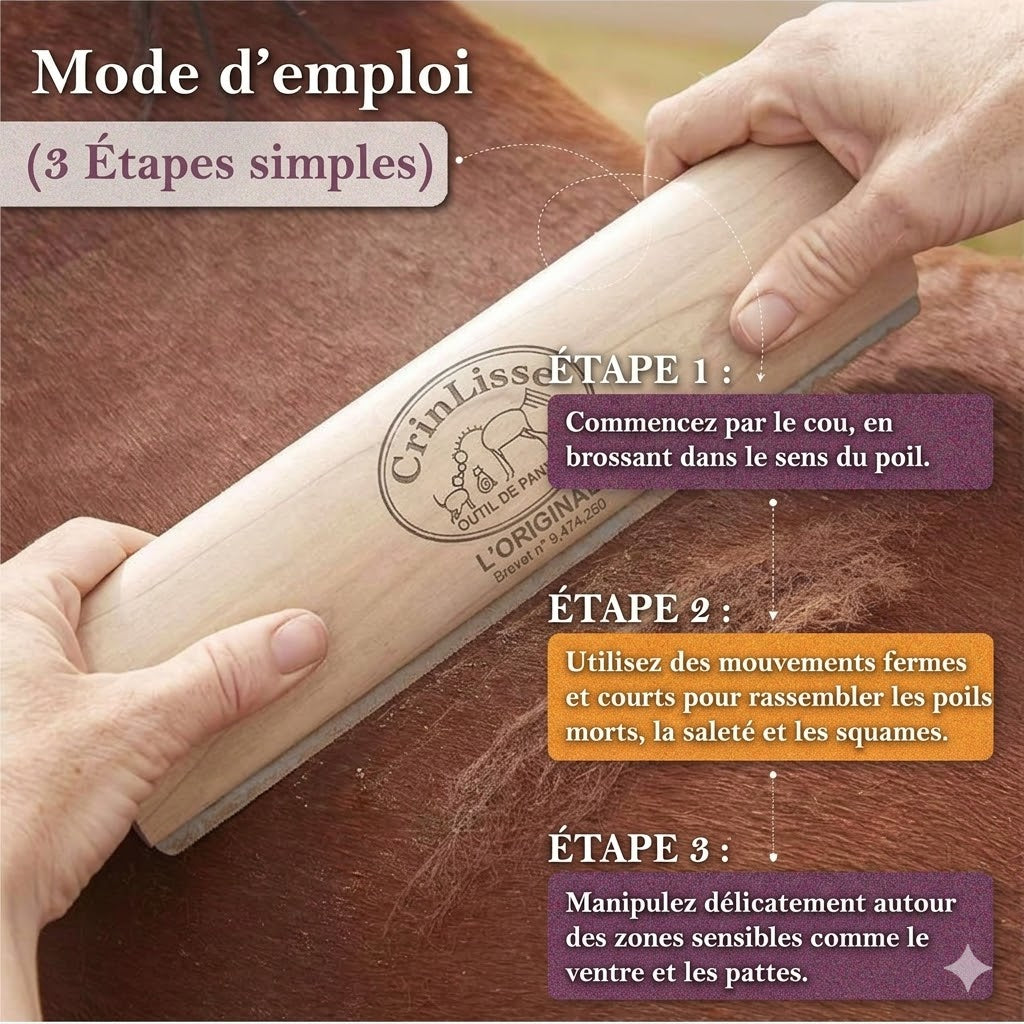 CrinLisse™ — Outil de Toilettage pour Cheval