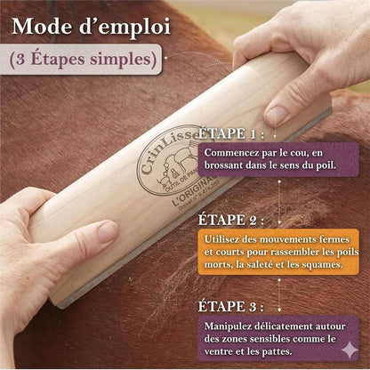 CrinLisse™ — Outil de Toilettage pour Cheval