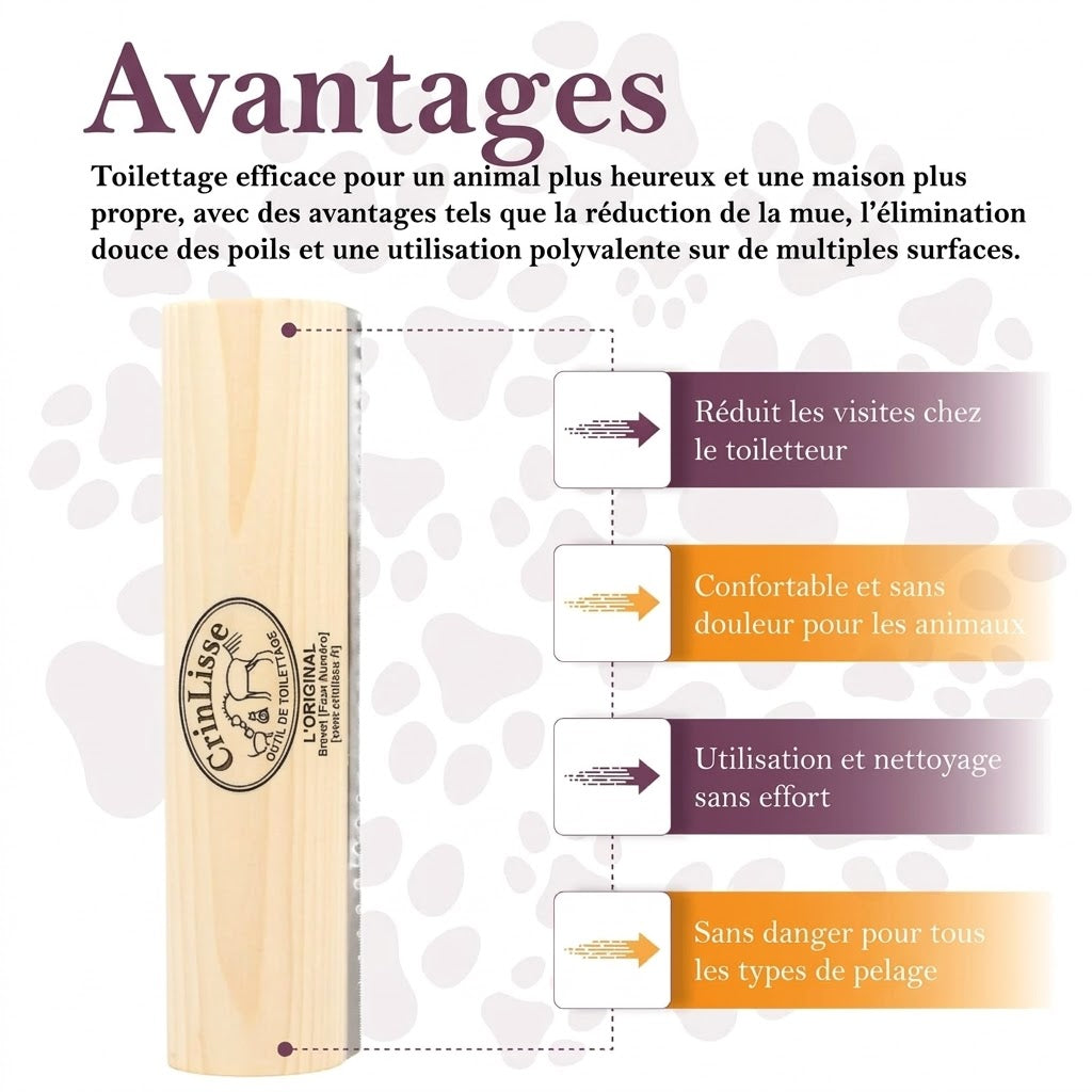 CrinLisse™ — Outil de Toilettage pour Cheval