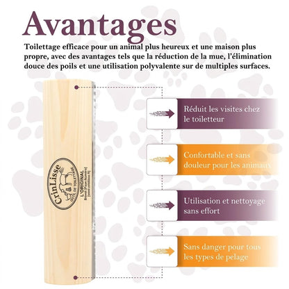 CrinLisse™ — Outil de Toilettage pour Cheval