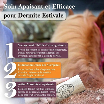 CrinLisse™ — Outil de pansage (DERE)