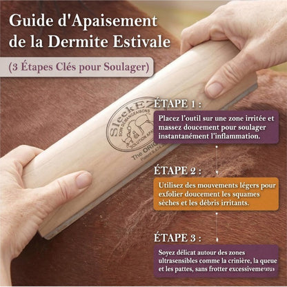 CrinLisse™ — Outil de pansage (DERE)
